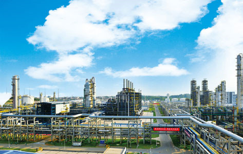 中科煉化項目正式開工，推動化工產業高質量發展