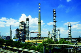 污水池里魚(yú)兒活蹦跳？化工廢水治理的真相與挑戰(zhàn)