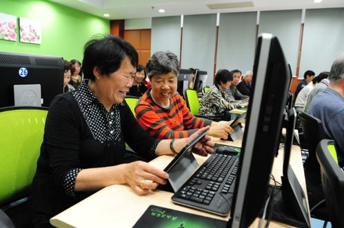 聚焦五大功能，賈煒為上海學習型城市建設注入高質(zhì)量教育咨詢服務新動能