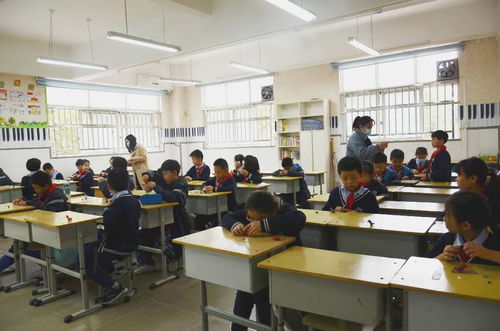 非遺進校園 提升學校教育教學質(zhì)量與咨詢服務的新路徑